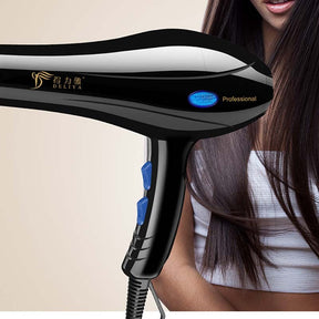 Home Hairdressing High-Power Blue Light Negative Ion Hair Dryer  Dryer  The Khan Shop