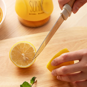 Manual Juicer, Residue Juice Separation, Manual Lemon Clip The Khan Shop