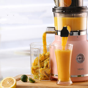 Household Automatic Slag Juice Separation Large-caliber Juicer The Khan Shop