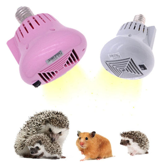 Mini Pet Air Conditioner Heating Ventilating Air Conditioner The Khan Shop juicer & blender