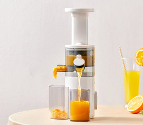 Juicer Juice Residue Separation Household Multi-function The Khan Shop